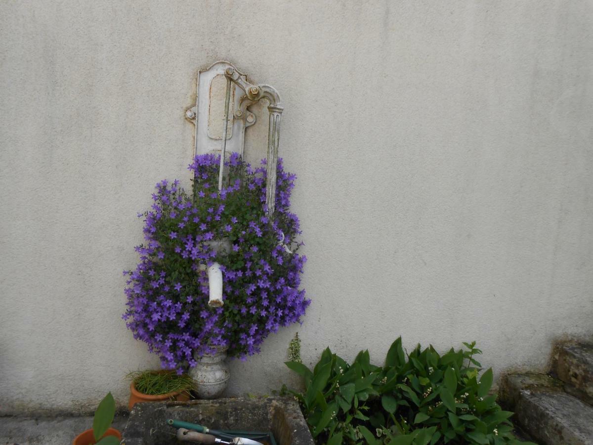 Bed and Breakfast Le Muguet Сен-Жорж-сюр-Шер Екстер'єр фото