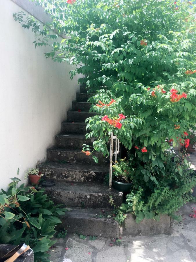 Bed and Breakfast Le Muguet Сен-Жорж-сюр-Шер Екстер'єр фото